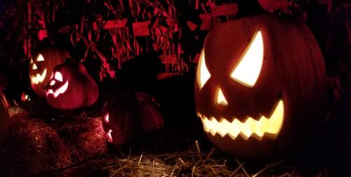 Glowing jack-o'-lanterns with spooky faces on a bed of hay, surrounded by dark, festive Halloween decorations.