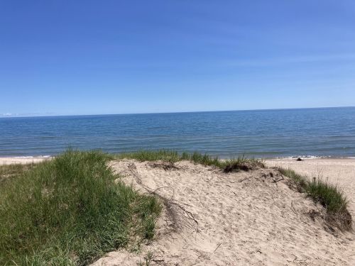 A sandy beach with green grass dunes, overlooking a calm blue lake under a clear sky.