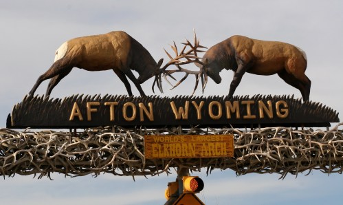 Sign for Afton, Wyoming, featuring two elk locked in antler combat, with "World's Largest Elk Horn Arch" below.