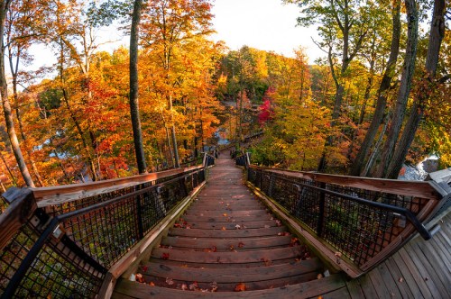 A wooden staircase winds down through vibrant autumn trees, showcasing colorful leaves in a serene forest setting.