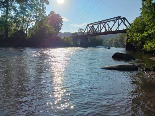 A sunlit river flows under a metal bridge, surrounded by lush greenery and rocky banks.