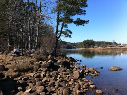 A serene lakeside scene with rocky shores, trees, and a person sitting quietly by the water under a clear blue sky.