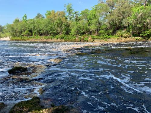 A serene river scene with gentle waves, rocky banks, and lush greenery along the shore under a clear blue sky.
