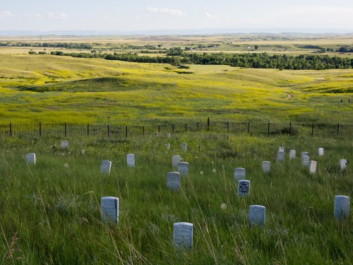 A serene landscape featuring a grassy field with white gravestones scattered throughout, overlooking rolling hills.