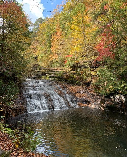 A serene waterfall cascades into a calm pool, surrounded by vibrant autumn foliage and rocky terrain.