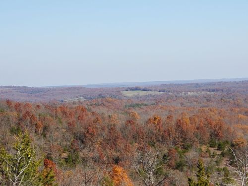 A panoramic view of rolling hills covered in autumn foliage, showcasing vibrant orange and brown trees under a clear sky.
