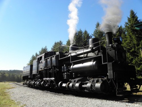 A vintage steam locomotive emits smoke, parked on a gravel track surrounded by lush green trees under a clear blue sky.