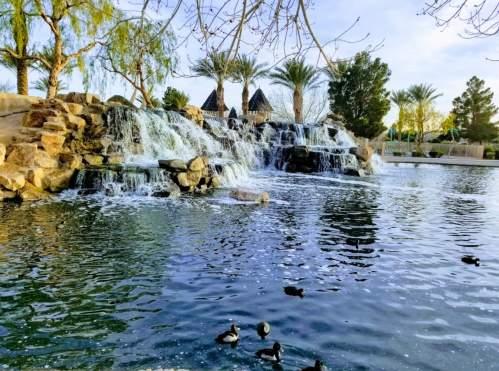A serene pond with a waterfall, surrounded by trees and palm trees, with ducks swimming in the water.