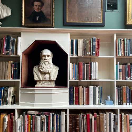 A bookshelf filled with books, featuring a bust of Darwin in a niche and portraits on the wall above.