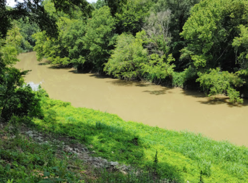A muddy river flows through a lush green landscape, surrounded by trees and vegetation.