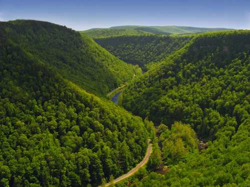 A lush green valley with a winding river, surrounded by dense forests and rolling hills under a clear blue sky.