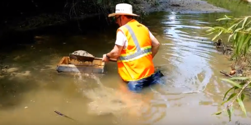 A person in a safety vest wades through water, using a wooden box to sift through mud or sediment.