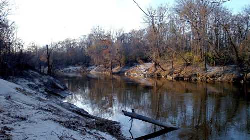 A serene river scene with bare trees lining the banks and a sandy shore, reflecting the calm water under a clear sky.