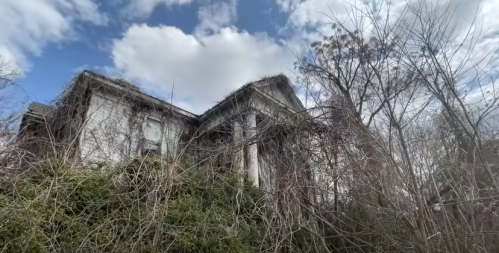 An overgrown, abandoned house partially hidden by vines and trees under a cloudy sky.
