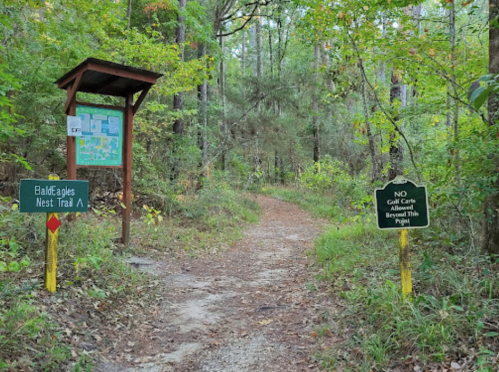 A wooded trail with signs for Bald Eagles Nest Trail and a no golf carts allowed notice.