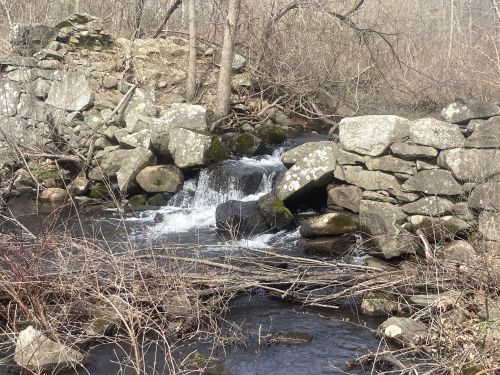 A small waterfall flows over rocks in a wooded area, surrounded by bare trees and dry vegetation.