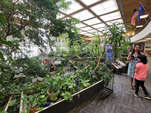 A woman and child stand in a lush indoor garden with plants, surrounded by natural light and flags in the background.