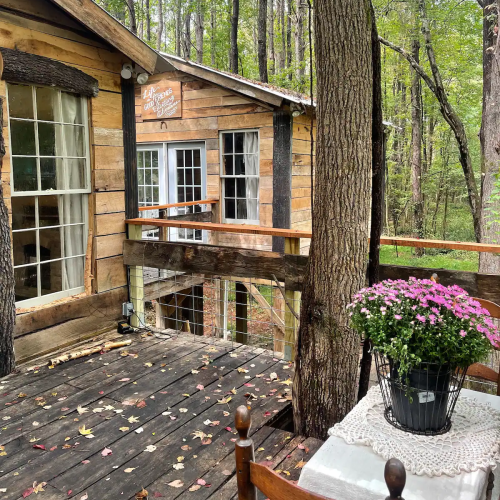 A rustic wooden cabin surrounded by trees, featuring a deck with potted flowers and large windows.