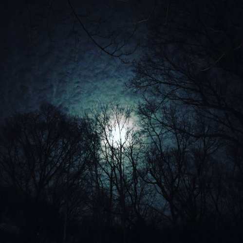 A dimly lit night scene with silhouetted trees against a glowing moon in a cloudy sky.