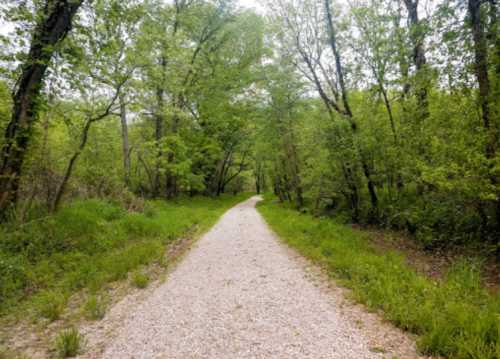 A gravel path winds through a lush green forest, surrounded by trees and grass on either side.