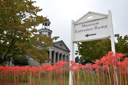 Sign pointing left to the museum entrance ramp, with a historic building and vibrant red flowers in the foreground.