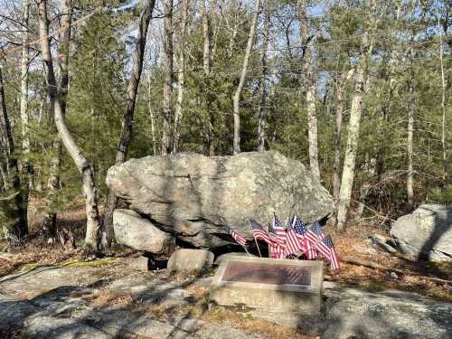 A large rock in a wooded area with a plaque and several small American flags in front of it.