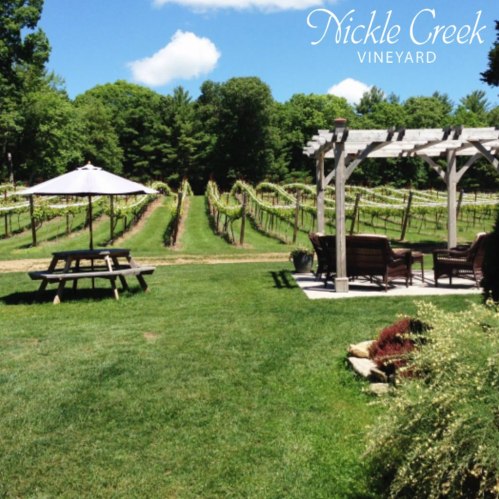 A scenic vineyard with rows of grapevines, a picnic table, and a shaded seating area under a pergola.