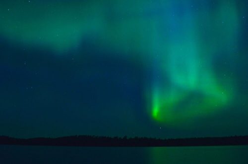 A serene night sky illuminated by vibrant green and blue auroras over a calm lake and distant forest.