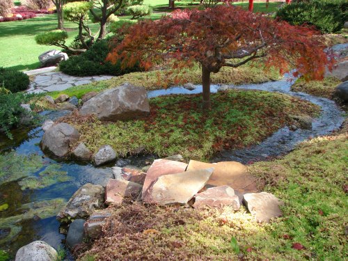 A serene garden scene featuring a small tree, rocks, and a winding stream surrounded by lush greenery.