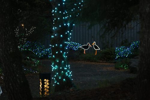 A dimly lit garden decorated with blue and white lights, featuring illuminated ducks among the trees.