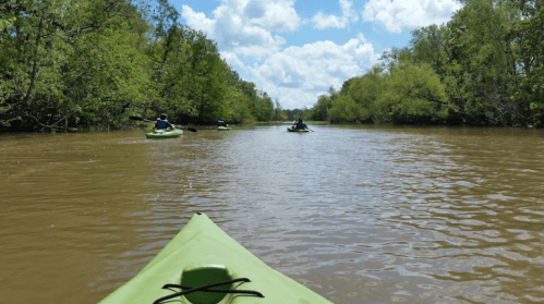 A view from a kayak on a brown river, with trees lining the banks and other kayakers in the distance under a blue sky.