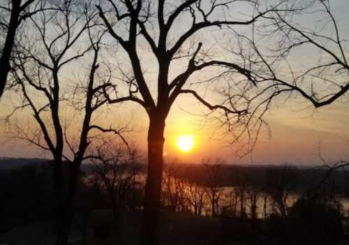 Silhouetted trees against a sunset over a river, with warm hues of orange and yellow in the sky.