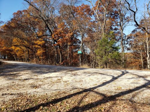 A gravel road surrounded by trees with autumn foliage and a clear blue sky. Shadows cast on the ground.