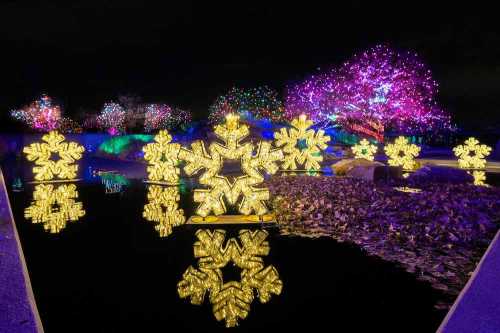 Brightly lit snowflake decorations reflect in water, surrounded by colorful trees adorned with festive lights at night.