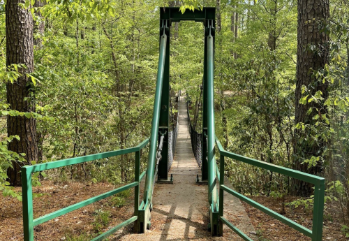 A green suspension bridge stretches through a lush forest, surrounded by trees and greenery.