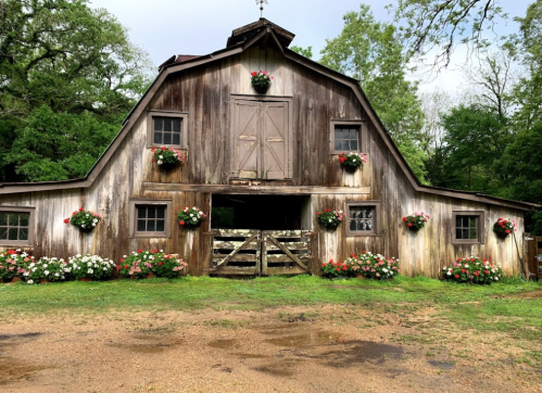 A rustic barn surrounded by vibrant flowers and greenery, with a wooden fence in front and a clear sky above.