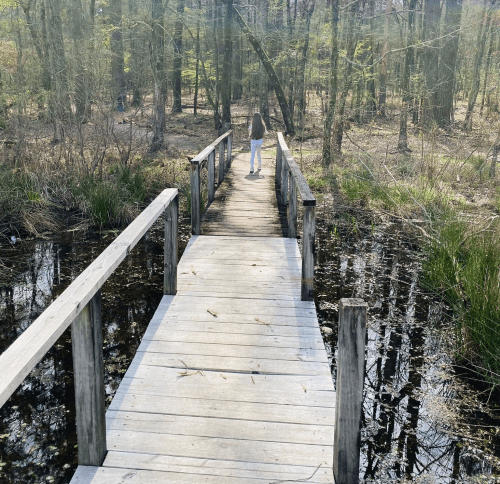 A person walks along a wooden bridge over a calm, dark waterway surrounded by trees and greenery.