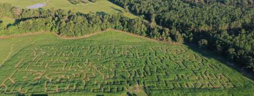 Aerial view of a large corn maze surrounded by lush green fields and trees.