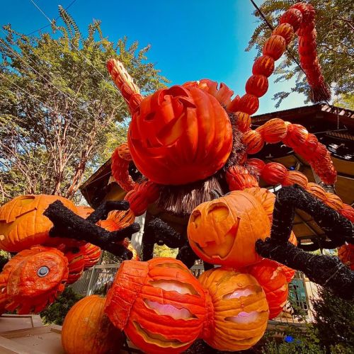A large spider made of pumpkins, with a bright blue sky and trees in the background, creating a festive Halloween scene.