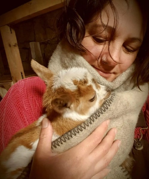 A person wrapped in a cozy blanket holds a small, brown and white goat close to their face, smiling gently.