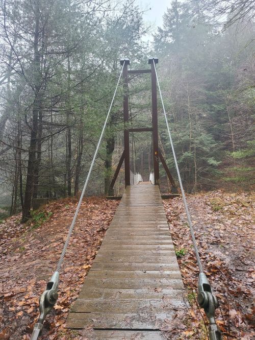 A misty forest scene featuring a wooden suspension bridge surrounded by trees and fallen leaves.
