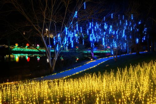 A nighttime scene featuring colorful lights draped on trees and along a path, reflecting in a nearby lake.