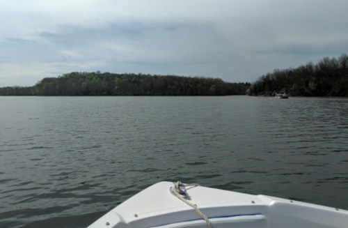 A view from the front of a boat on calm water, with trees lining the shore in the background under a cloudy sky.
