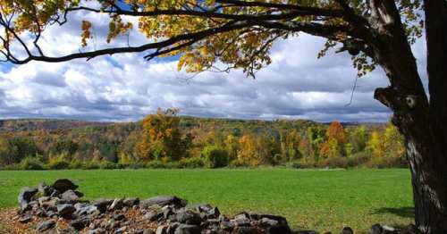 A scenic view of a green field bordered by a stone wall, with colorful autumn trees and a cloudy sky in the background.