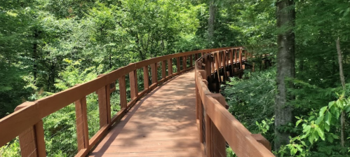A winding wooden bridge surrounded by lush green trees in a serene forest setting.