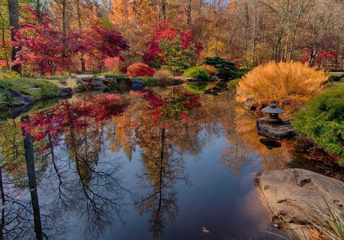 A serene pond surrounded by vibrant autumn foliage, reflecting colorful trees and rocks in calm water.