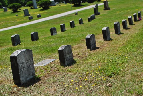 Gravestones in a grassy cemetery, with a path and wildflowers in the foreground.
