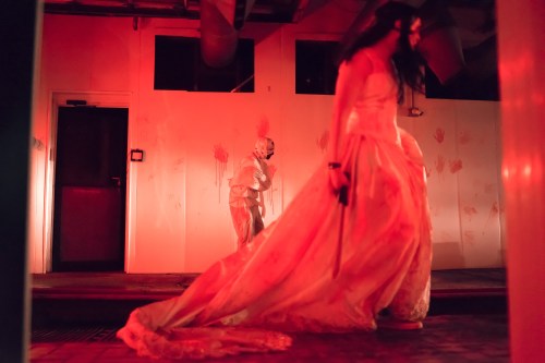 A dimly lit room with red lighting; a woman in a blood-stained gown holds a knife, while a figure lurks in the background.