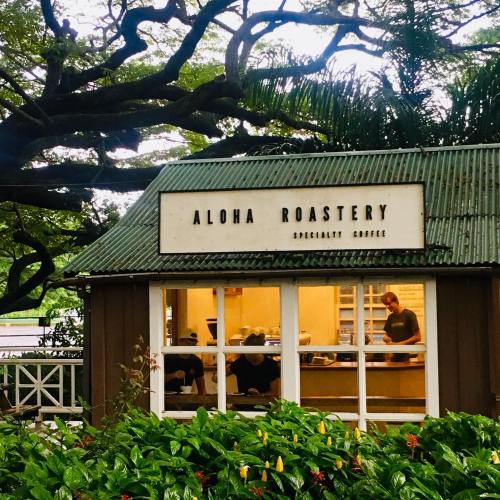 Aloha Roastery coffee shop with a green roof, surrounded by trees and colorful plants. People are visible inside.