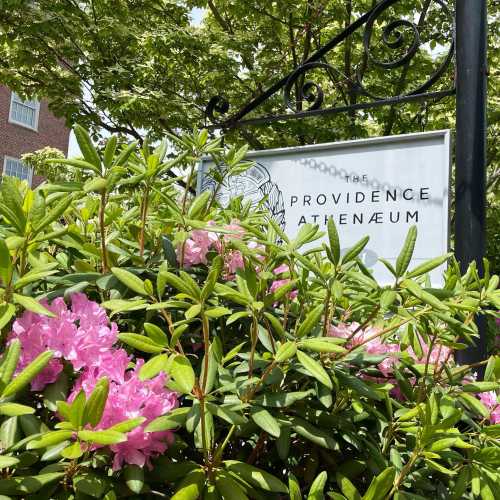 A sign for the Providence Athenaeum surrounded by blooming pink flowers and green foliage.